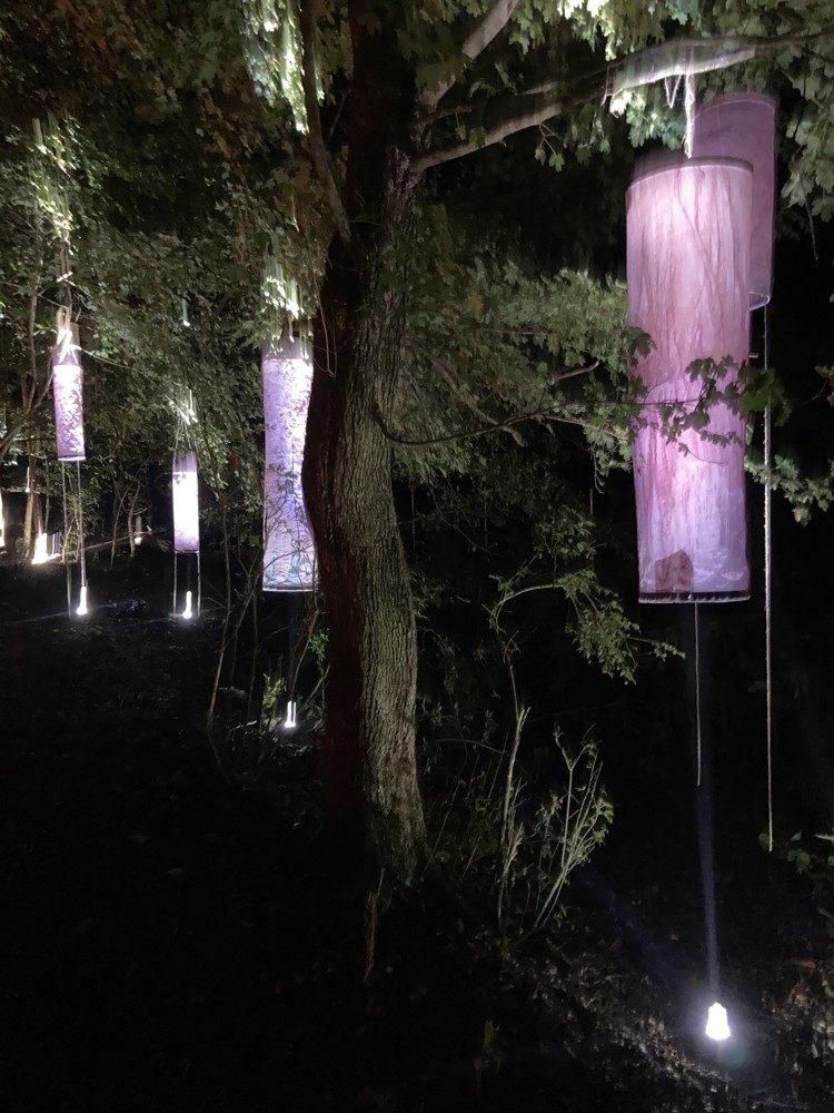 atmosfera_high vis_forest(s)_installation_Olia_Mykhailiuk_photo_Lucia Simaskova.jpeg
