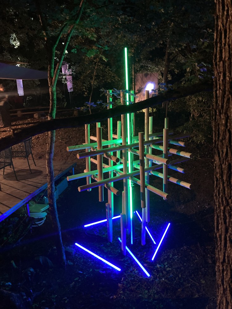 atmosfera_high vis_forest(s)_light instalation_Jozef Cabo.jpeg