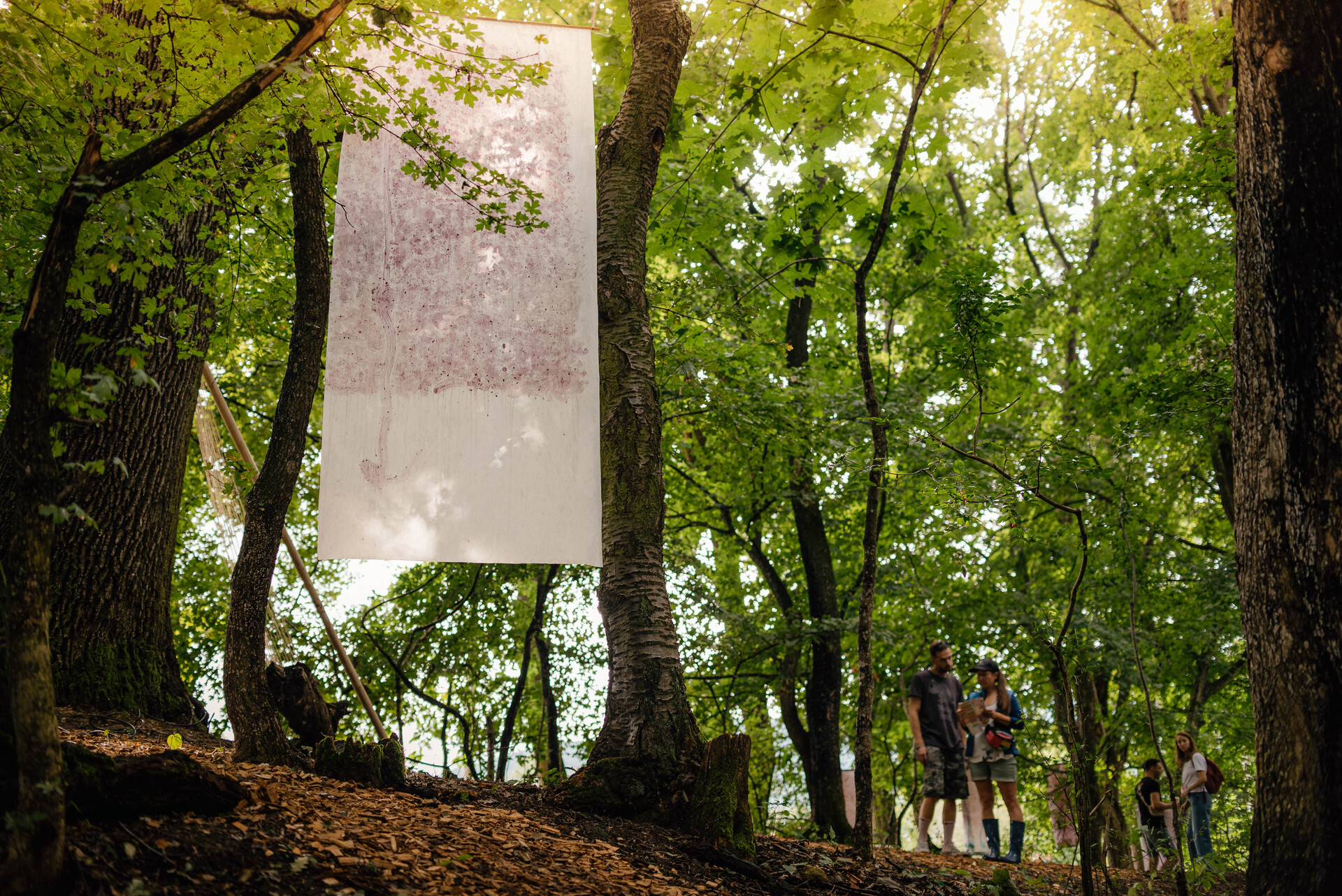 Ліси наших сердець: зв'язок між словацьким та українським мистецтвом на фестивалі Atmosféra